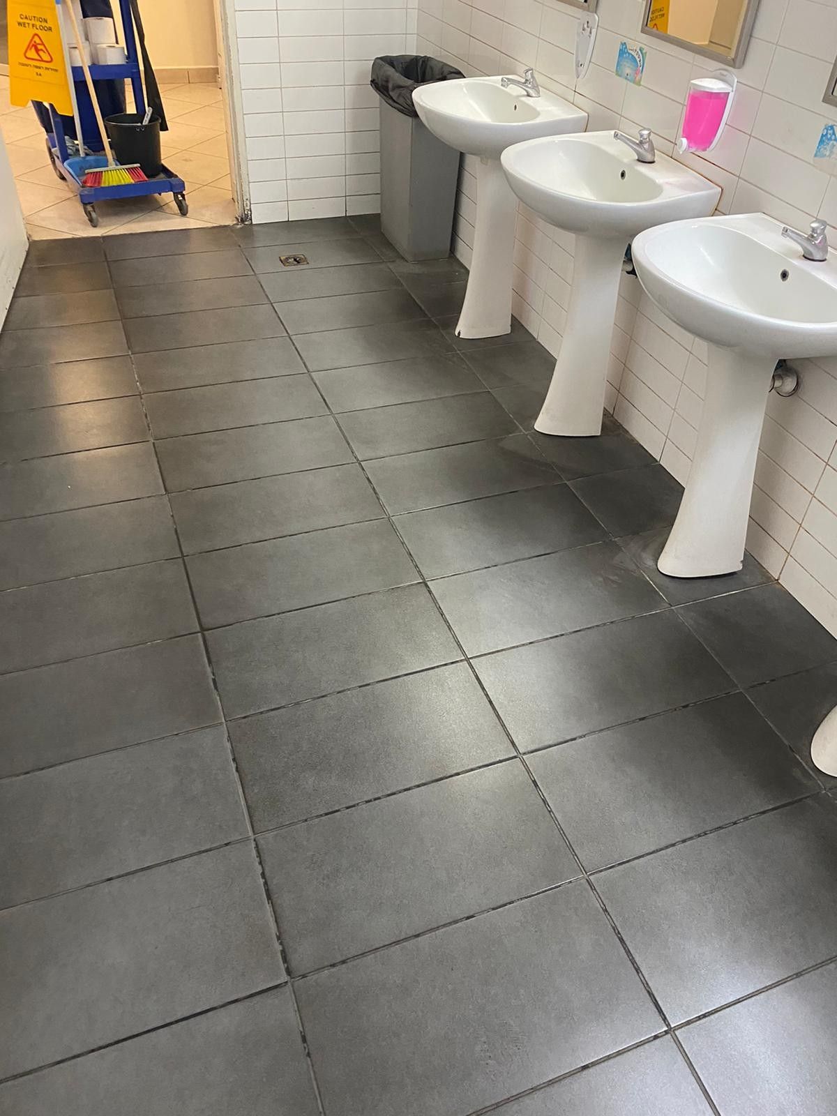 Allgemeine Sanitärreinigung – Waschbecken- und WC-Bereiche